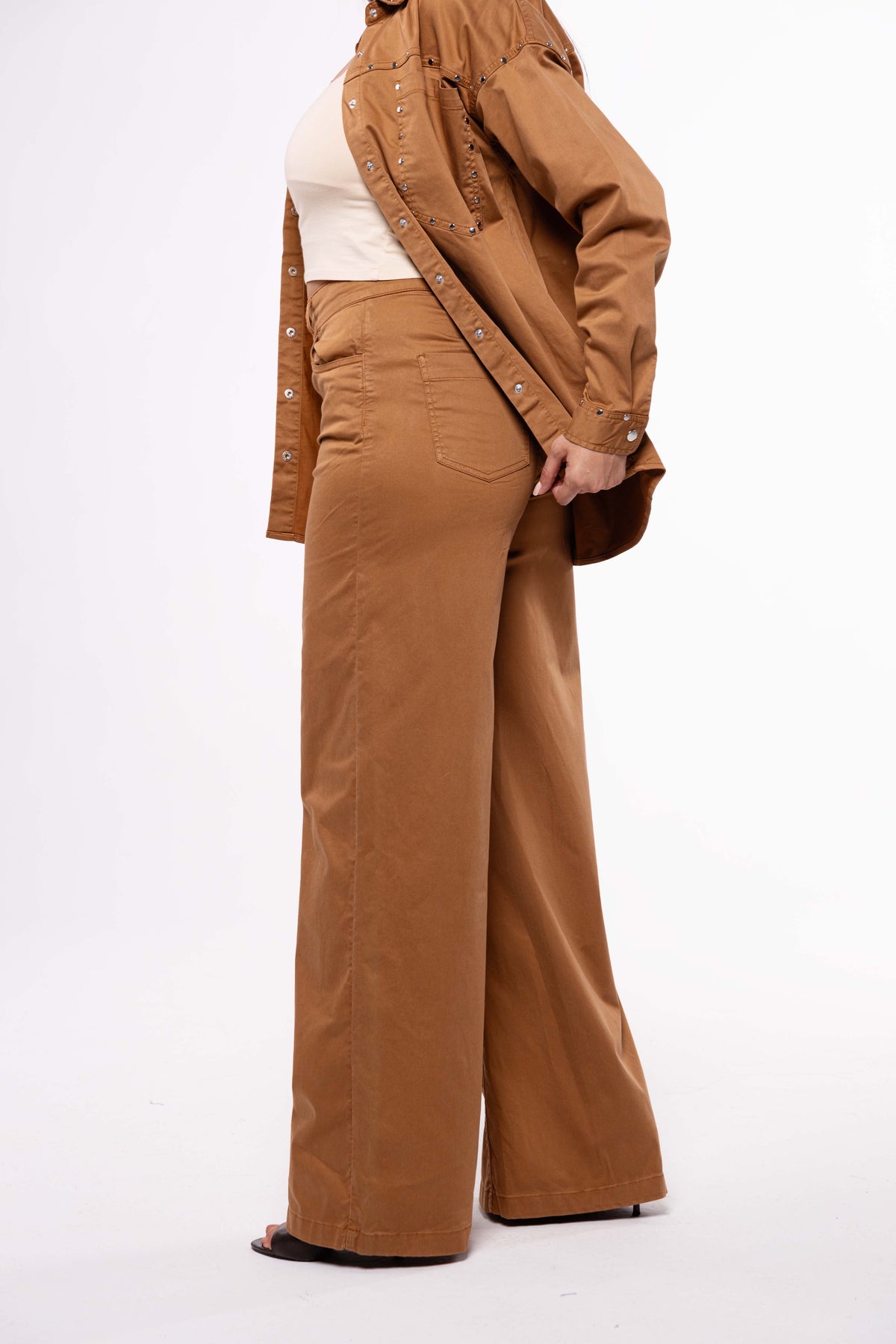 Ensemble Camel